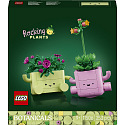 LEGO® Botanicals 11506 Houpající se rostlinky