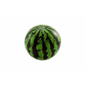 Teddies Ball Plastikowy arbuz nadmuchany 20cm w siatce