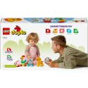 LEGO DUPLO® 10412 Vláček se zvířátky