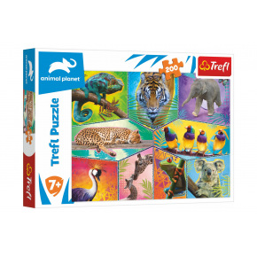 Trefl Puzzle Animal Planet 48x34cm 200 sztuk w pudełku 33x23x4cm