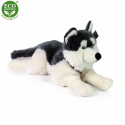 Rappa Plüschhund Husky mit Halsband liegend 60 cm ECO-FRIENDLY