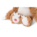 NICI Glubschis plyš Lenochod Heywood 15cm