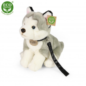 Rappa Plyšový sediaci pes husky s vodítkom 28 cm ECO-FRIENDLY