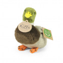 Rappa Plyšová kachna divoká 13 cm ECO-FRIENDLY