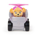 Spin Master PAW PATROL MINI-FAHRZEUGE MIT FIGUR