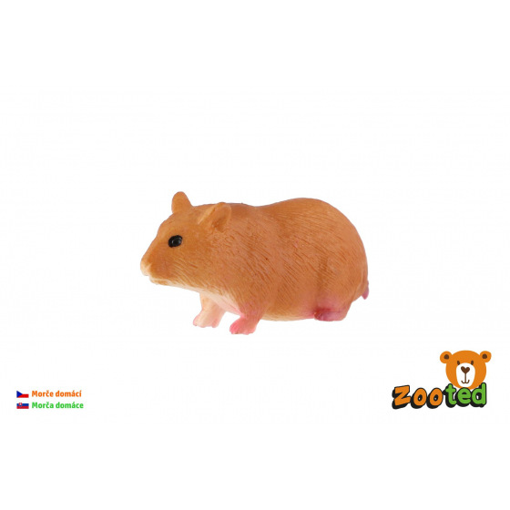 ZOOted Morče domácí zooted 6cm