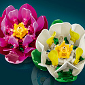 Botanicals 11511 Lilie wodne
