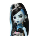 Mattel Monster High PANENKA DĚSIVĚ SLADKÁ OSLAVA - FRANKIE