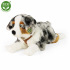 Rappa Plüsch Australian Shepherd liegend 61 cm ECO-FRIENDLY