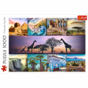Trefl Puzzle Collage Afrika 1000 Teile 68,3x48cm in Schachtel 40x27x6cm