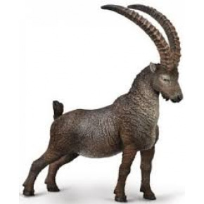 Collecta Mac Toys COLLECTA Wapiti