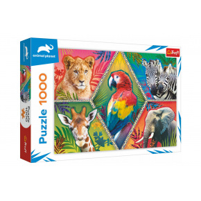 Trefl Puzzle Zwierzęta egzotyczne 1000 sztuk 68,3x48cm w pudełku 40x27x6cm