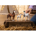 Schleich 14897 Tier - Marwari Stute
