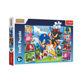 Trefl Puzzle Seznamte se se Sonicem/Sonic the Hedgehog 100 dílků 41x27,5cm v krabici 29x19x4cm