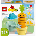 LEGO Duplo 10981 Karottenanbau