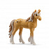 Schleich Sběratelský jednorožec Sumsa