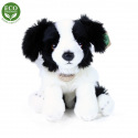 Rappa Plyšový pes Border kólia sediaci 28 cm ECO-FRIENDLY