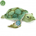 Rappa Plüsch-Wasserschildkröte 20 cm ECO-FRIENDLY