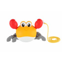 Teddies Krab lezoucí na natažení plast 20x12cm 2 barvy