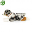 Rappa Plüsch Australian Shepherd liegend 61 cm ECO-FRIENDLY