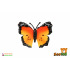 ZOOted Motýl Monarcha africký (babočka) zooted plast 7cm 