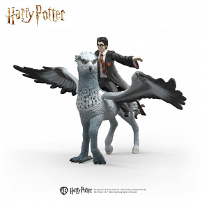 Schleich Harry Potter - Harry Potter na Hardodziobie