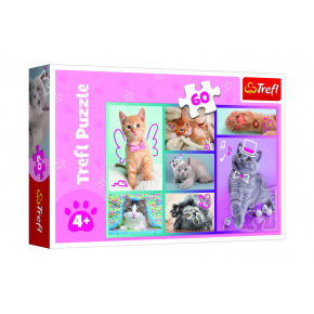 Trefl Puzzle Roztomilé kočky 33x22cm 60 dílků v krabici 21x14x4cm