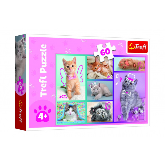 Trefl Puzzle Roztomilé kočky 33x22cm 60 dílků v krabici 21x14x4cm