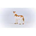 Schleich 13961 Zvířátko - Osel americký skvrnitý