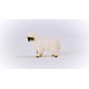 Schleich 13965 Zvířátko - Valašská černostrakatá ovce