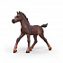 Schleich Kolekcjonerskie źrebię Ravi