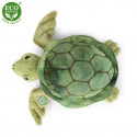 Rappa Plüsch-Wasserschildkröte 20 cm ECO-FRIENDLY