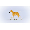 Schleich 13951 Zvířátko - Haflingerské hříbě