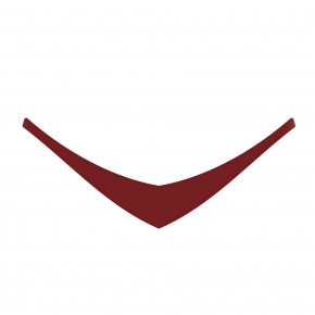 Rappa NIE NA SPRZEDAŻ OSOBNO - szalik na plusz ciemnoczerwony