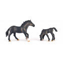 FAUNICA Sada koní s lipicánem