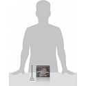 Pokémon Company Pokémon TCG: ME05 Pitch Black - Elite Trainer Box