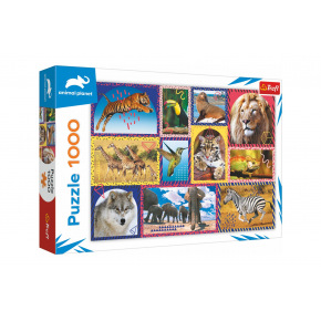 Trefl Wildlife Puzzle 1000 elementów w pudełku 40x27x6cm