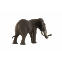 ZOOted Slon africký zooted plast 17cm  