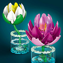 Botanicals 11511 Lilie wodne