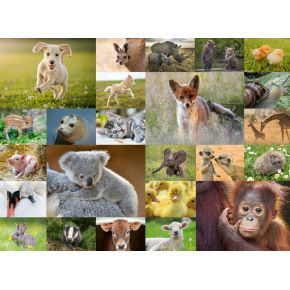 Ravensburger Collage of baby animals 200 elementów