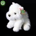 Rappa Plüschhund Westie sitzend 30 cm ECO-FRIENDLY