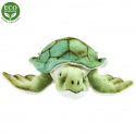 Rappa Plüsch-Wasserschildkröte 20 cm ECO-FRIENDLY