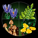 Botanicals 11505 Leśne grzyby