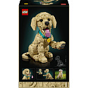 LEGO Icons 11384 Štěně zlatého retrívra
