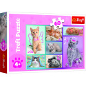 Trefl Puzzle Roztomilé kočky 33x22cm 60 dílků v krabici 21x14x4cm