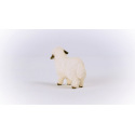 Schleich 13965 Zvířátko - Valašská černostrakatá ovce