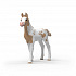 Schleich Kolekcjonerskie źrebię Rusty