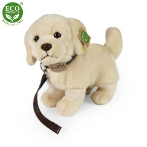 Rappa Zlatý retriever plyšový pes stojaci s vodítkom 25 cm ECO-FRIENDLY