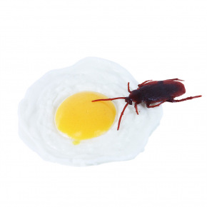 Rappa Dekorácia vajcia so švábom