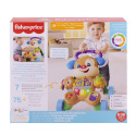 Fisher Price LNL CHODÍTKO PEJSEK CZ/SK/ENG/HU/PL